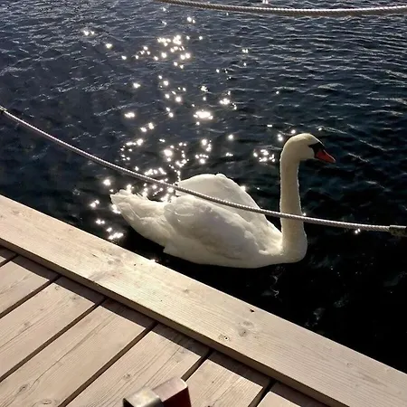 Botel The Goose Modern Retreat *