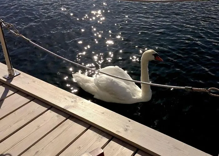 Bådhotel The Goose Modern Retreat *